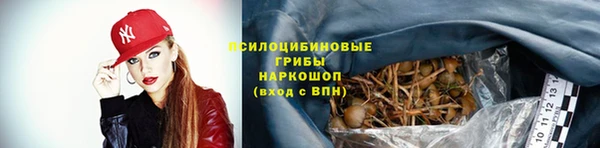 тгк Алзамай