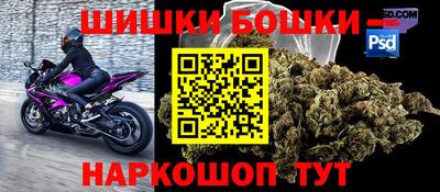 прущие грибы Изобильный
