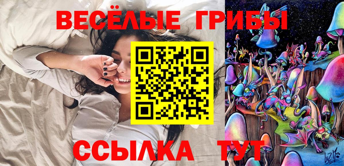 Электрогорск  Галлюциногенные грибы GOLDEN TEACHER  Вход с VPN 