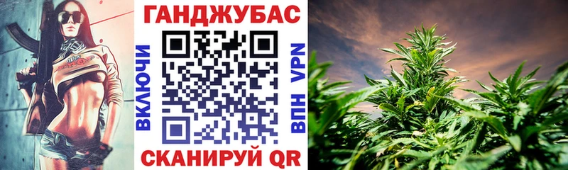 наркотики  Электрогорск  Бошки Шишки LSD WEED 